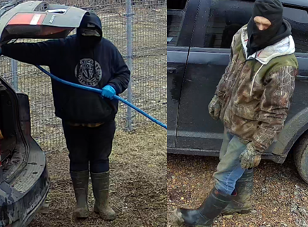 RCMPNB's tweet photo. RCMP seeking to identify individuals following break, enter and theft, #FourFalls
https://t.co/nT3bWCA7Ph https://t.co/rH7jtnbmKB