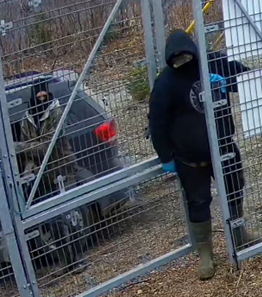 RCMPNB's tweet photo. RCMP seeking to identify individuals following break, enter and theft, #FourFalls
https://t.co/nT3bWCA7Ph https://t.co/rH7jtnbmKB