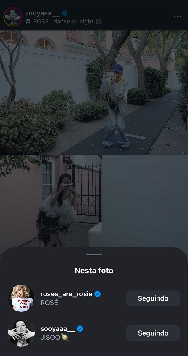 ROSÉ BRASIL tweet media