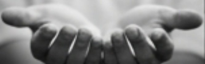 العَذُوب tweet media