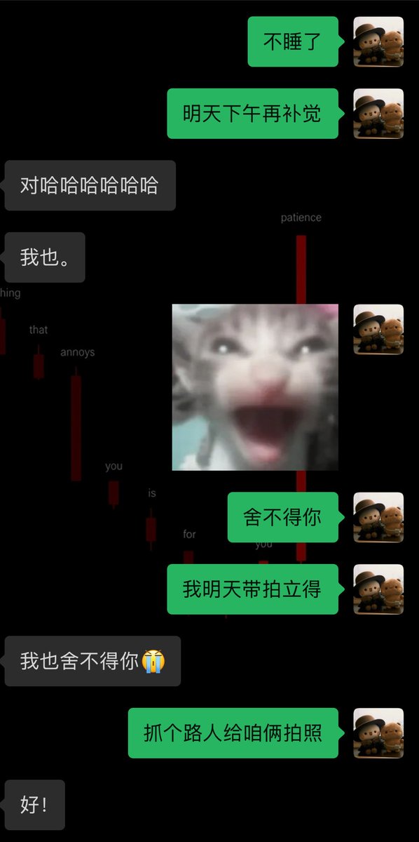 闷声发大财 tweet media