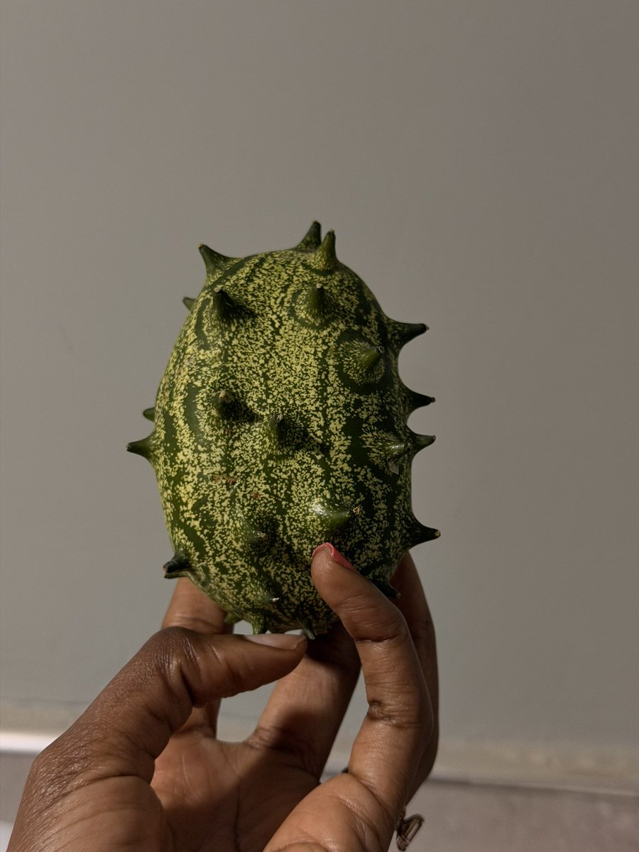 ms__handa's tweet photo. So, someone saw these in the bush one day and said “oh yeah that looks edible” with the tuma weird jelly seeds inside? ..people were brave…but also shout out to them cause I love them so much! https://t.co/7DzK6ZMHmq