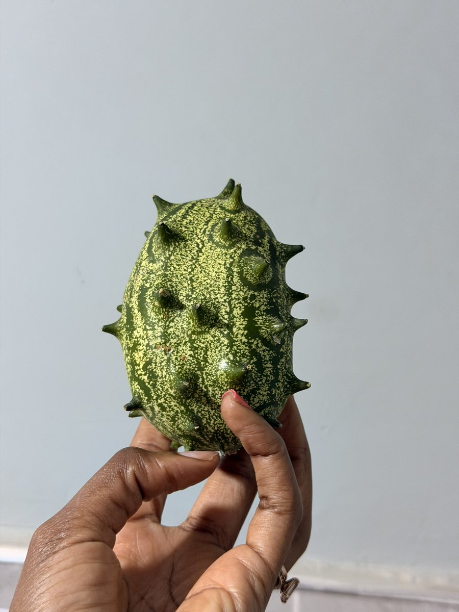 ms__handa's tweet photo. So, someone saw these in the bush one day and said “oh yeah that looks edible” with the tuma weird jelly seeds inside? ..people were brave…but also shout out to them cause I love them so much! https://t.co/7DzK6ZMHmq