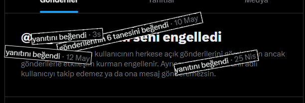 ˗ˏˋ The Chaotic Good 𒉭 ˎˊ˗ 🇹🇷 #YusufTekinİstifa tweet media