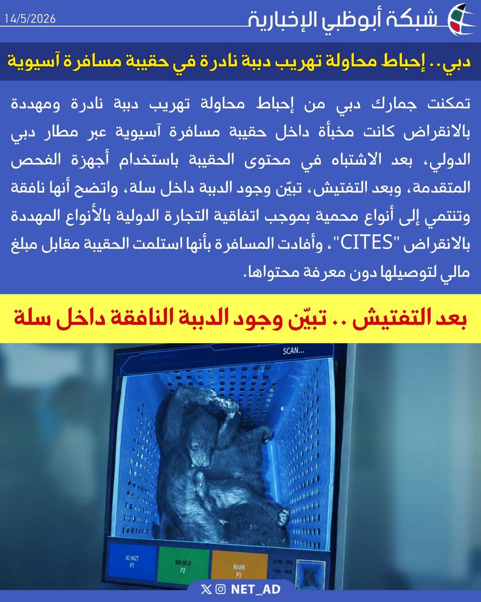 شبكة أبوظبي tweet media