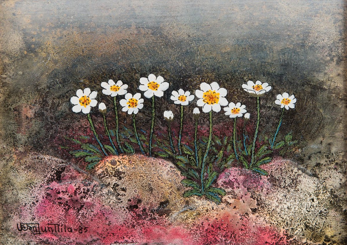 EmreTemelcan's tweet photo. Vesa Junttila
Dağ Avensi [Dryas]
1985
{İzlanda'nın ulusal çiçeği}
[National flower of Iceland]
#resim #sanat #painting #art https://t.co/NpwCVQPlFl
