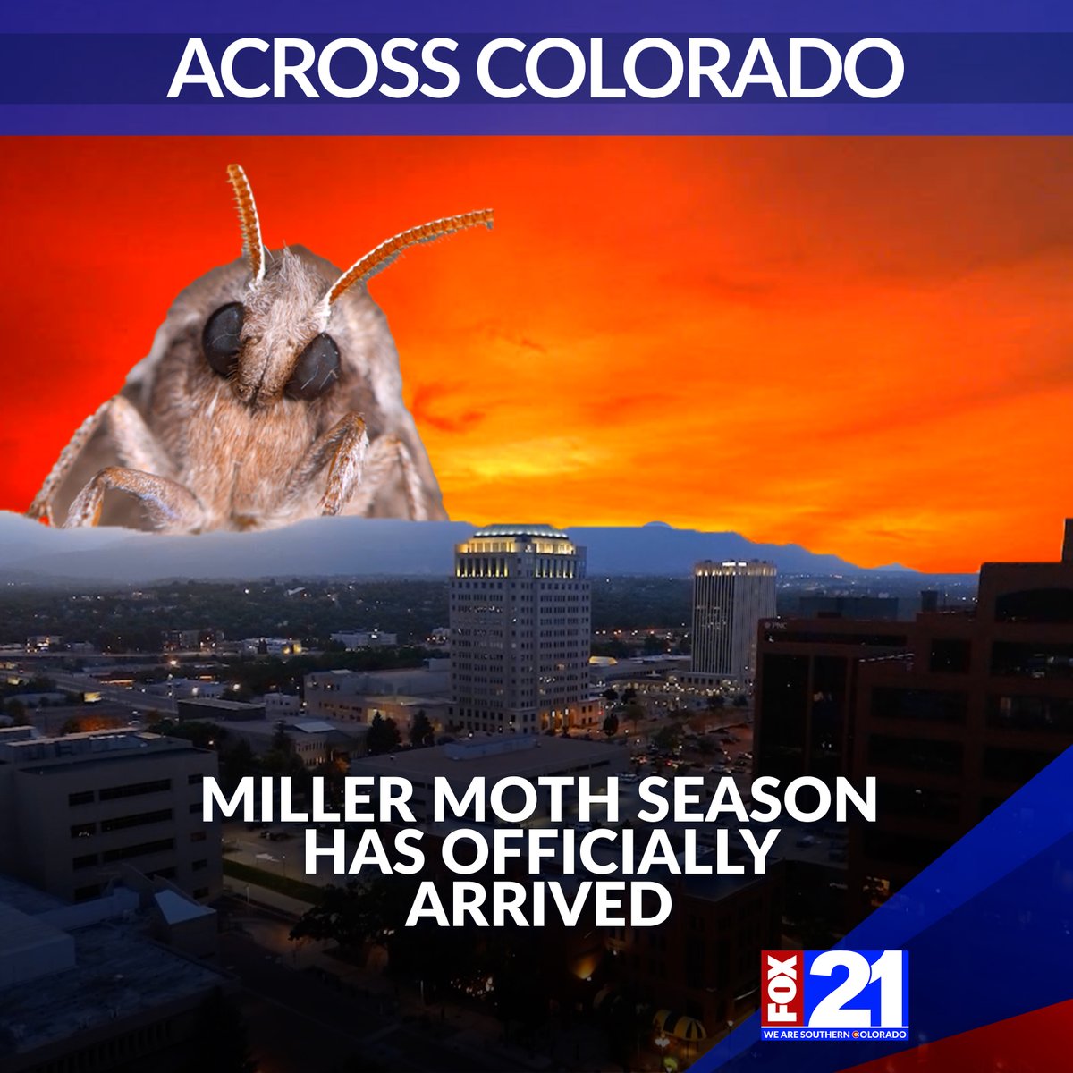 FOX21 News tweet media