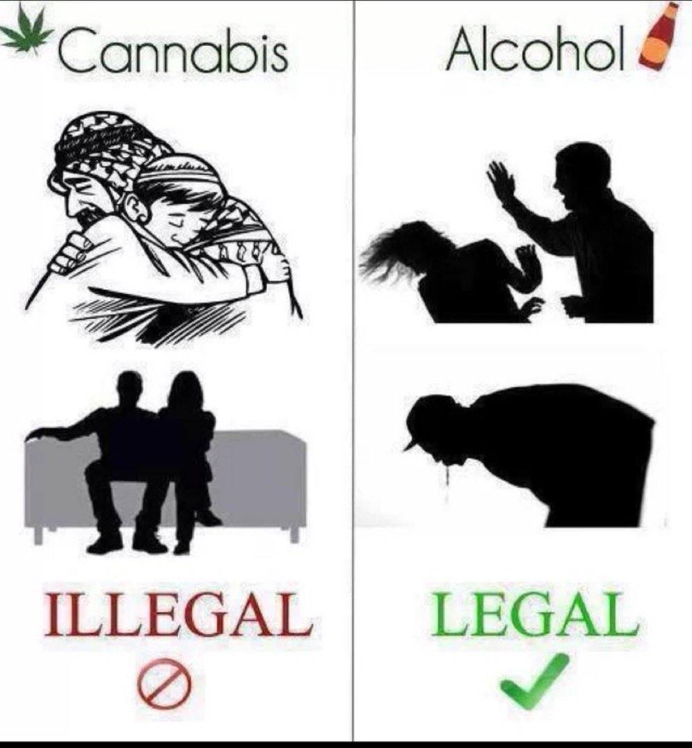 Stoner Barbie tweet media