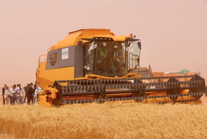 Algerie_aps's tweet photo. #Timimoun
Une moisson record de céréales attendue cette saison
🔗https://t.co/a8D9H7Ztb2 https://t.co/pUnJhNMNOg