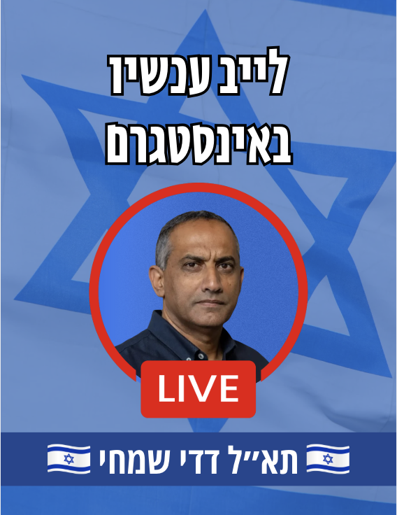 דדי שמחי tweet media