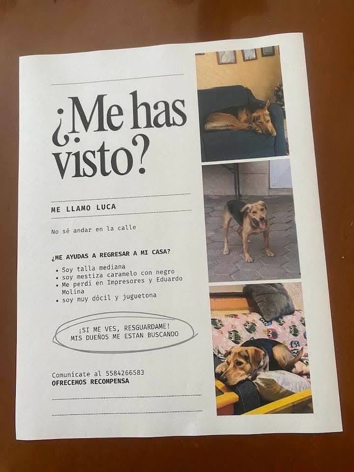 felicostello's tweet photo. #Extraviadas
#Ayuda con #Difusión

@AlcCuauhtemocMx 
@LaNotaPositiva 
@TuAlcaldiaGAM 
@En_laDelValle 

#Tepito 
#EduardoMolina https://t.co/9Cet1l913V