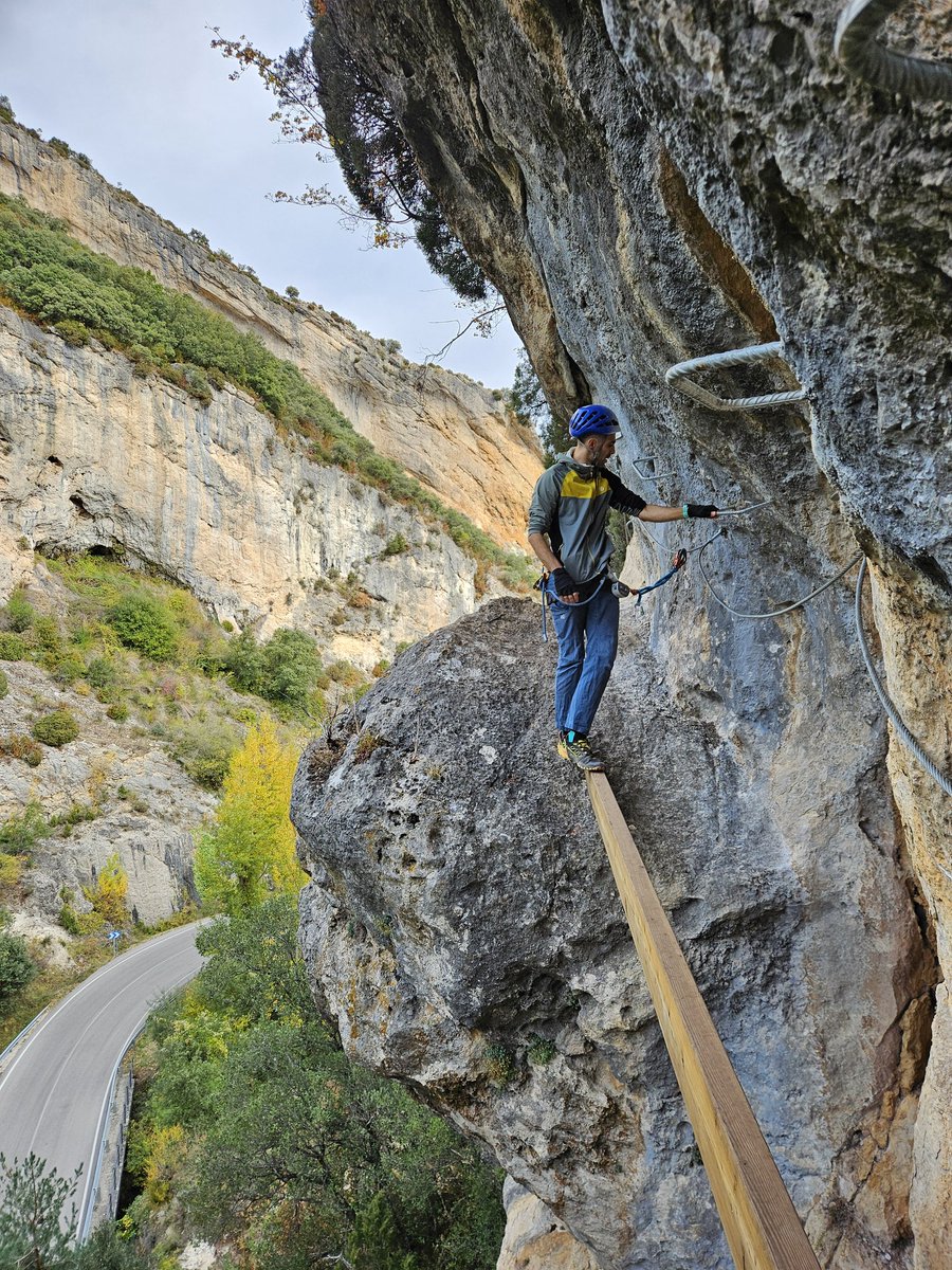 AlFiloInfngible's tweet photo. Un mosaico de matices 🧩

📍VF de Tobera

#VF https://t.co/2gFr7YimF4