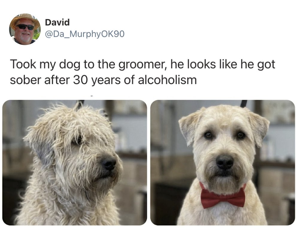 MensHumor's tweet photo. Proud of you, big dawg. https://t.co/CwunsM6NGH