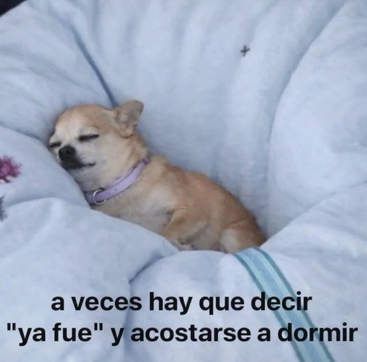 MexicoMagico's tweet photo. https://t.co/oue1v0lxVq