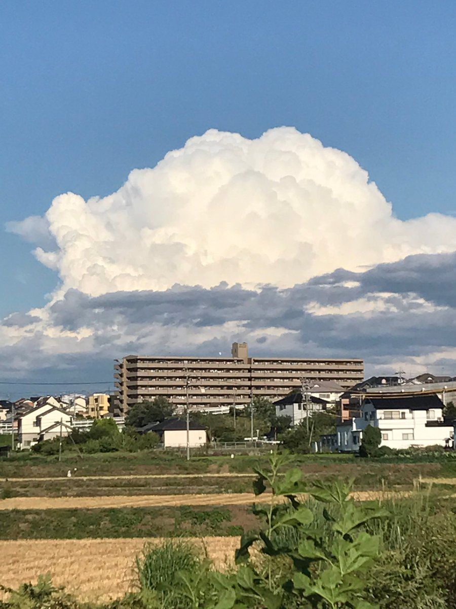 ちふゆくん tweet media