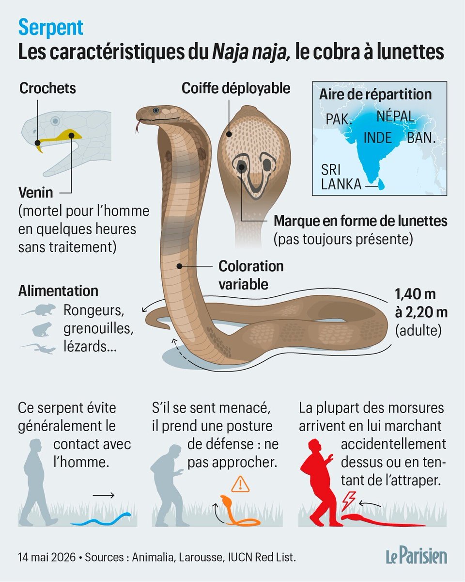 Le Parisien tweet media