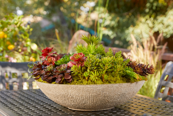 hooksandlattice's tweet photo. Our gardening expert and landscape designer, Brandon McCormick, is featured in @homesandgardens. His moon garden tabletop ideas bring a refined, atmospheric touch to summer outdoor entertaining.

Explore his full recommendations here: https://t.co/qpRyEUEYAJ https://t.co/pD4UGDLKGu