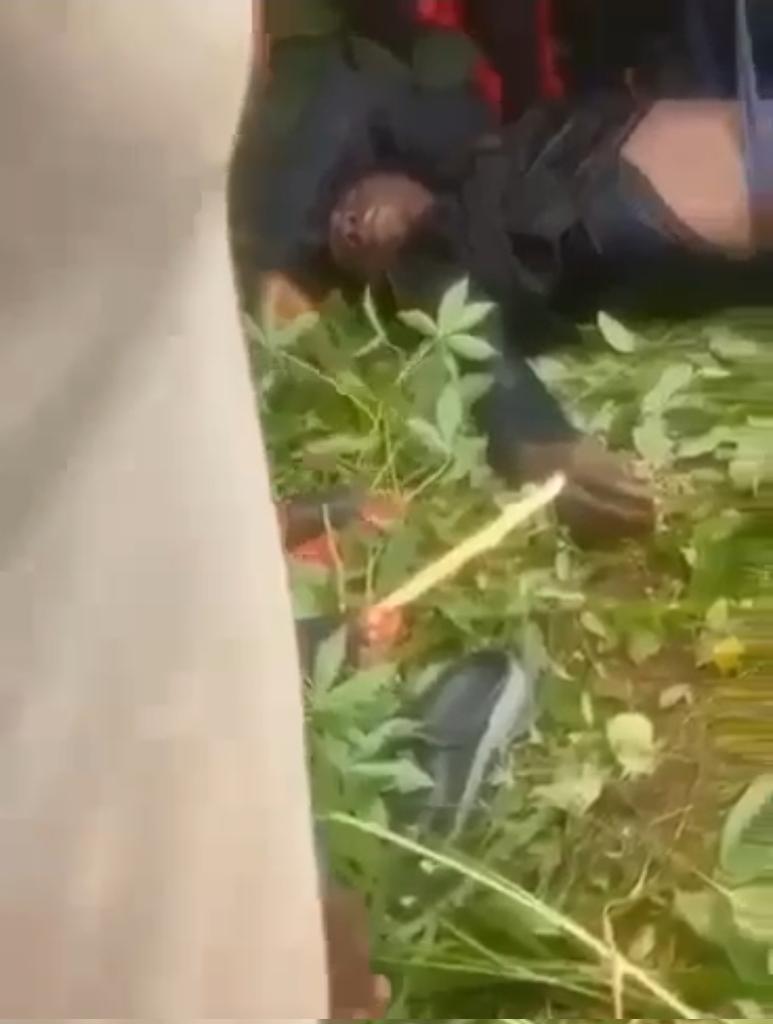 Harrison Gwamnishu tweet media