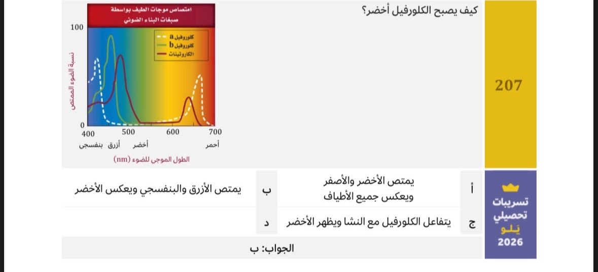 يمكن ريتو tweet media