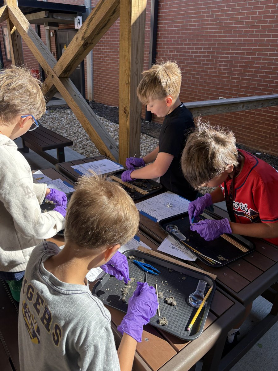 RLifescience's tweet photo. The RNE Outdoor Classrrom was a Boneyard today - 
Dissecting Owl Pellets with 3rd grade 
#rnegreatthings @GaDOEScience @MsHammond12 @SarahTallman28 https://t.co/ykTBt0dzUq