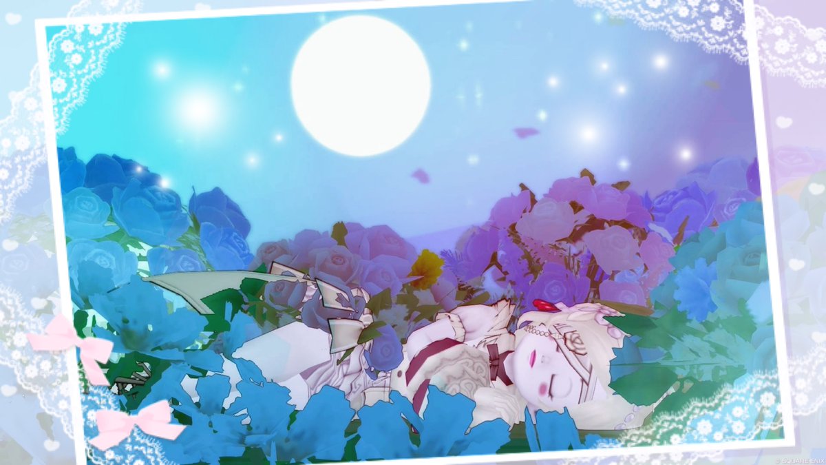 ゆいん⋆⑅.♥ tweet media