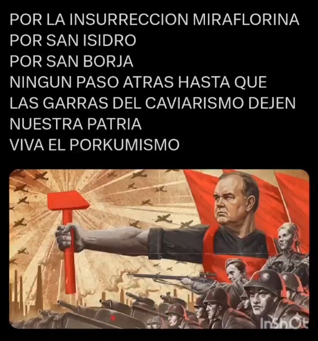 Gatonejo tweet media
