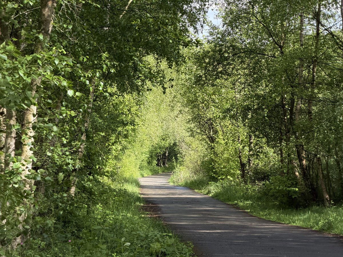 hikingshawty's tweet photo. today i walked five miles and i had a bacon, egg and cheese sandwich for dinner <3 https://t.co/wqlvMAwV74