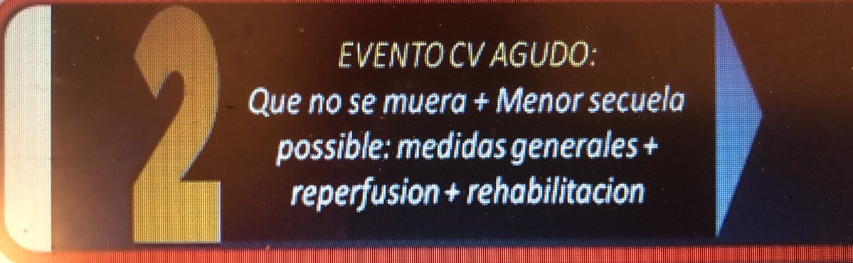La Turca ⭐️⭐️⭐️ tweet media
