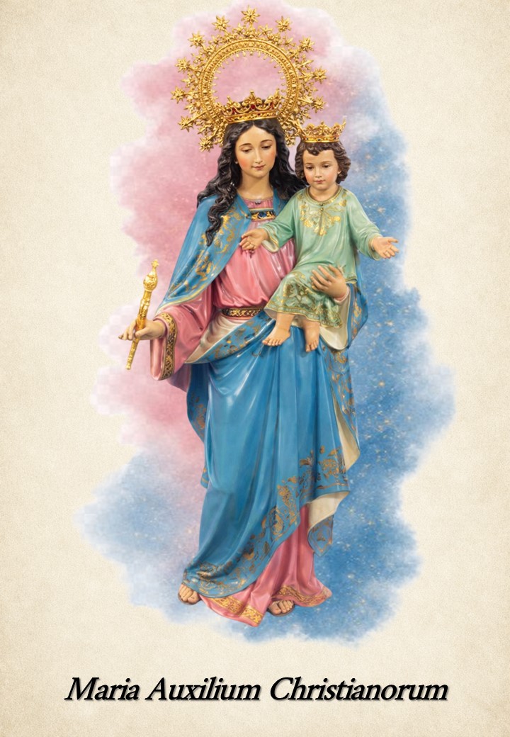 Asociación de María Auxiliadora de Almería tweet media