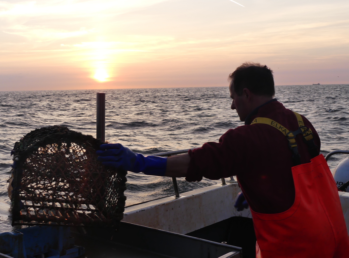 LoveBritishFood's tweet photo. 🐟 There’s something fishy going on… 🌊
This #Fish24, we’re celebrating all things fish — and all the brilliant people behind it.
From the early starts and salty air of life at sea, to the skilled hands preparing the day’s catch… From proud young anglers on the shoreline to simple, delicious seafood cooked and shared — it all tells a story worth celebrating.
British seafood doesn’t just appear on our plates. It’s the result of hard work, knowledge, and generations of care.
So if something smells fishy today… it’s probably just dinner (and a good one at that)
👉 Support your local fishmonger
👉Choose British seafood
👉 And help us champion our coastal communities
Let’s give a well-deserved shoutout to the people keeping our seas — and our plates — thriving. @jennyjefferies @apassionforseafood #LoveBritishFood #BritishSeafood #SeaToPlate #SupportLocal