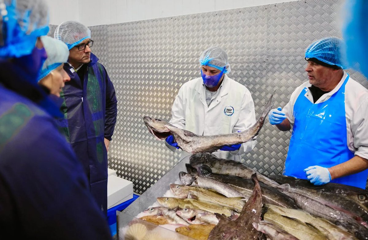 LoveBritishFood's tweet photo. 🐟 There’s something fishy going on… 🌊
This #Fish24, we’re celebrating all things fish — and all the brilliant people behind it.
From the early starts and salty air of life at sea, to the skilled hands preparing the day’s catch… From proud young anglers on the shoreline to simple, delicious seafood cooked and shared — it all tells a story worth celebrating.
British seafood doesn’t just appear on our plates. It’s the result of hard work, knowledge, and generations of care.
So if something smells fishy today… it’s probably just dinner (and a good one at that)
👉 Support your local fishmonger
👉Choose British seafood
👉 And help us champion our coastal communities
Let’s give a well-deserved shoutout to the people keeping our seas — and our plates — thriving. @jennyjefferies @apassionforseafood #LoveBritishFood #BritishSeafood #SeaToPlate #SupportLocal