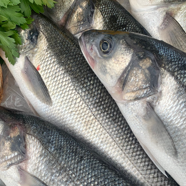 LoveBritishFood's tweet photo. 🐟 There’s something fishy going on… 🌊
This #Fish24, we’re celebrating all things fish — and all the brilliant people behind it.
From the early starts and salty air of life at sea, to the skilled hands preparing the day’s catch… From proud young anglers on the shoreline to simple, delicious seafood cooked and shared — it all tells a story worth celebrating.
British seafood doesn’t just appear on our plates. It’s the result of hard work, knowledge, and generations of care.
So if something smells fishy today… it’s probably just dinner (and a good one at that)
👉 Support your local fishmonger
👉Choose British seafood
👉 And help us champion our coastal communities
Let’s give a well-deserved shoutout to the people keeping our seas — and our plates — thriving. @jennyjefferies @apassionforseafood #LoveBritishFood #BritishSeafood #SeaToPlate #SupportLocal