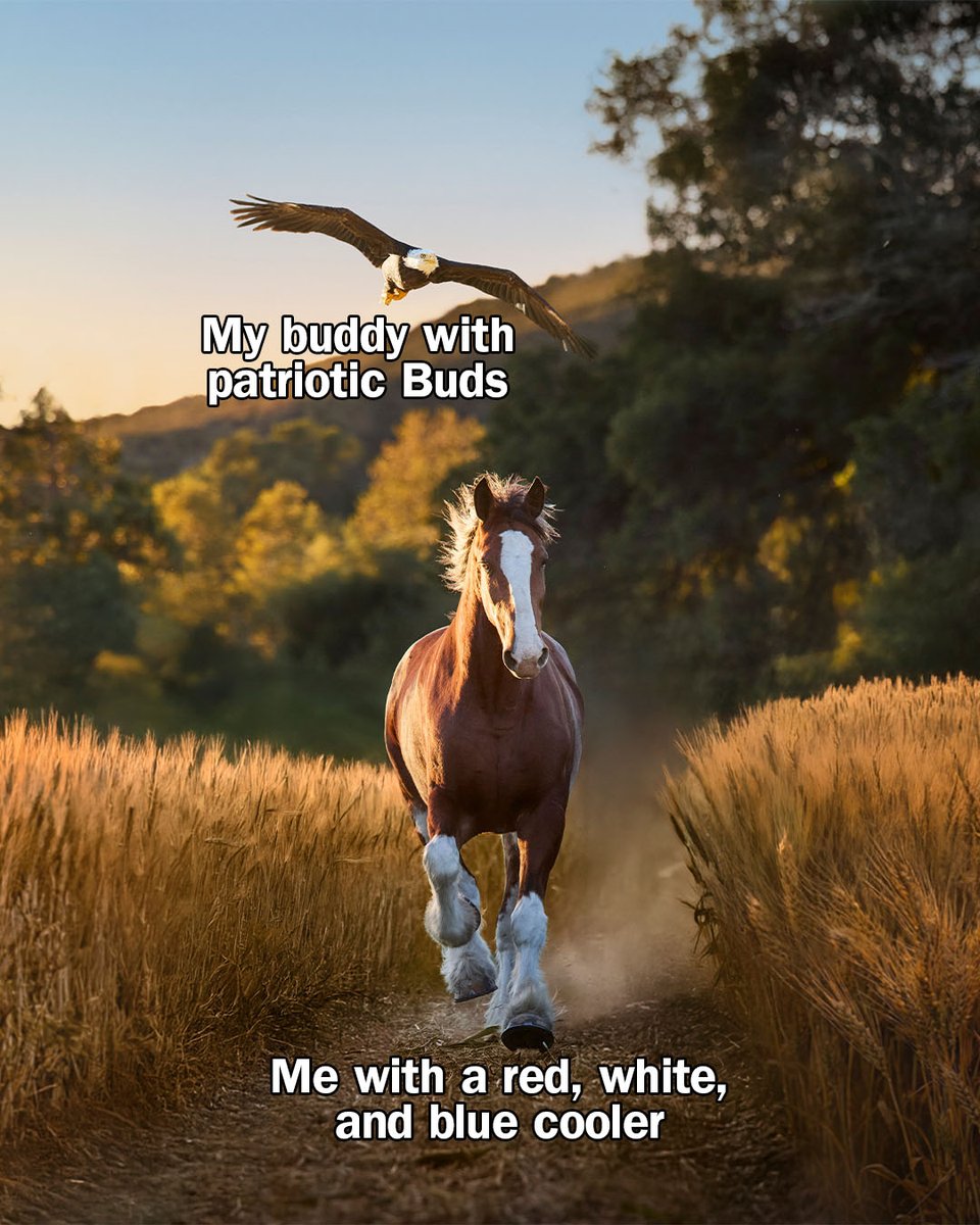 Budweiser tweet media
