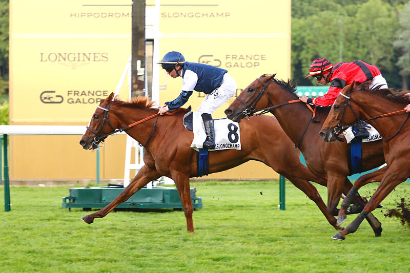 LGadbin's tweet photo. Some more photos of today’s winner at @paris_longchamp 
🐎KALAFA 
@LGadbin 
#EcurieTridentRacing &amp; Partners
Photos @AprhChantilly https://t.co/ENkXXNaLxQ