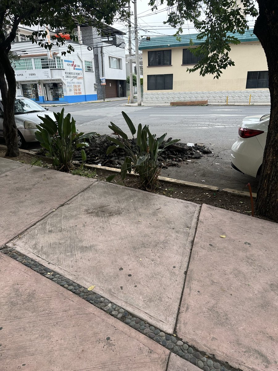 eduardo70462452's tweet photo. Buenas tardes @TuAlcaldiaGAM se solicita la atención para recoger el escombro producto de un bache sobre la Av 508 esq. Av 523 @yancolozano @GobCDMX , se anexa reporte de SUAC. https://t.co/i7r3ufsfrq
