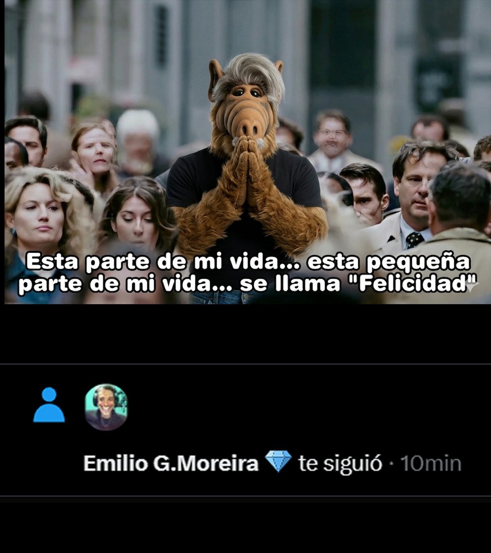 Moreno Alf tweet media