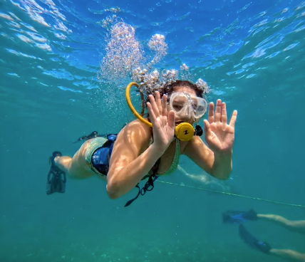 _SNUBA's tweet photo. We're loving this shot from SNUBA® Key West (@snubakeywest)

No scuba certification? No problem. SNUBA® lets you breathe underwater and explore vibrant marine life with the ease of snorkeling and the freedom of diving. Perfect for first-timers, families, and adventure seekers looking to experience Key West from a different perspective.

🐠 Crystal-clear waters
🌴 Tropical reef adventures
📍 Unforgettable Key West memories

Ready to dive in without the dive tank on your back? Your underwater adventure starts here 👉 https://t.co/u2TPjZ01Ru

#SnubaKeyWest #KeyWestAdventures #UnderwaterAdventure #FloridaKeys #Snuba #ExploreMore #OceanLife #KeyWestVacation
