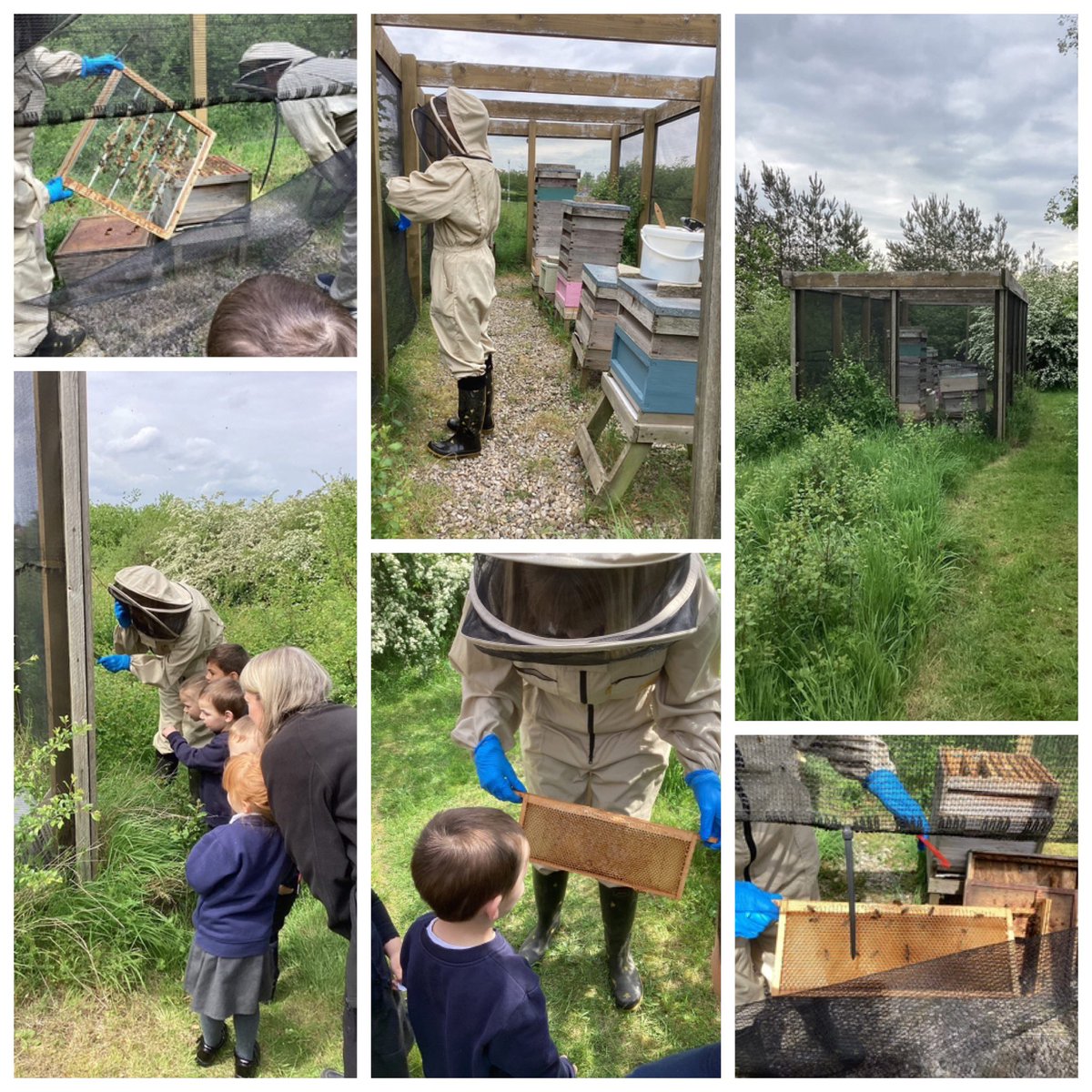 HolyTrinity316's tweet photo. Nursery enjoyed a visit to see our school bees. Thank you to Mrs Sefton for telling Nursery all about them!🐝 #holytrinitystars https://t.co/RfmXhpRZDS