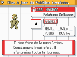 LeAronew's tweet photo. Machoc Shiny 🌟

Petit oubli avec ce Machoc ♂️ shiny rentré first ball au Parc Safari en 2061 rencontres ! Phase 3 pour Kangourex ✨ https://t.co/24qe8MGmmd
