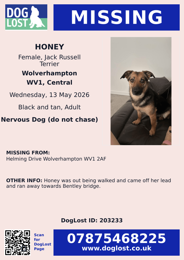 millypod1's tweet photo. 🆘13 MAY 2026 #Lost Honey #ScanMe
Jack Russell Terrier Female
Helming Drive #Wolverhampton #WV1 2AF
#WestMidlands 
Honey was out being walked and came off her lead and ran away towards Bentley Bridge.
https://t.co/wOzvm3JzZK https://t.co/iaBrZibu5d