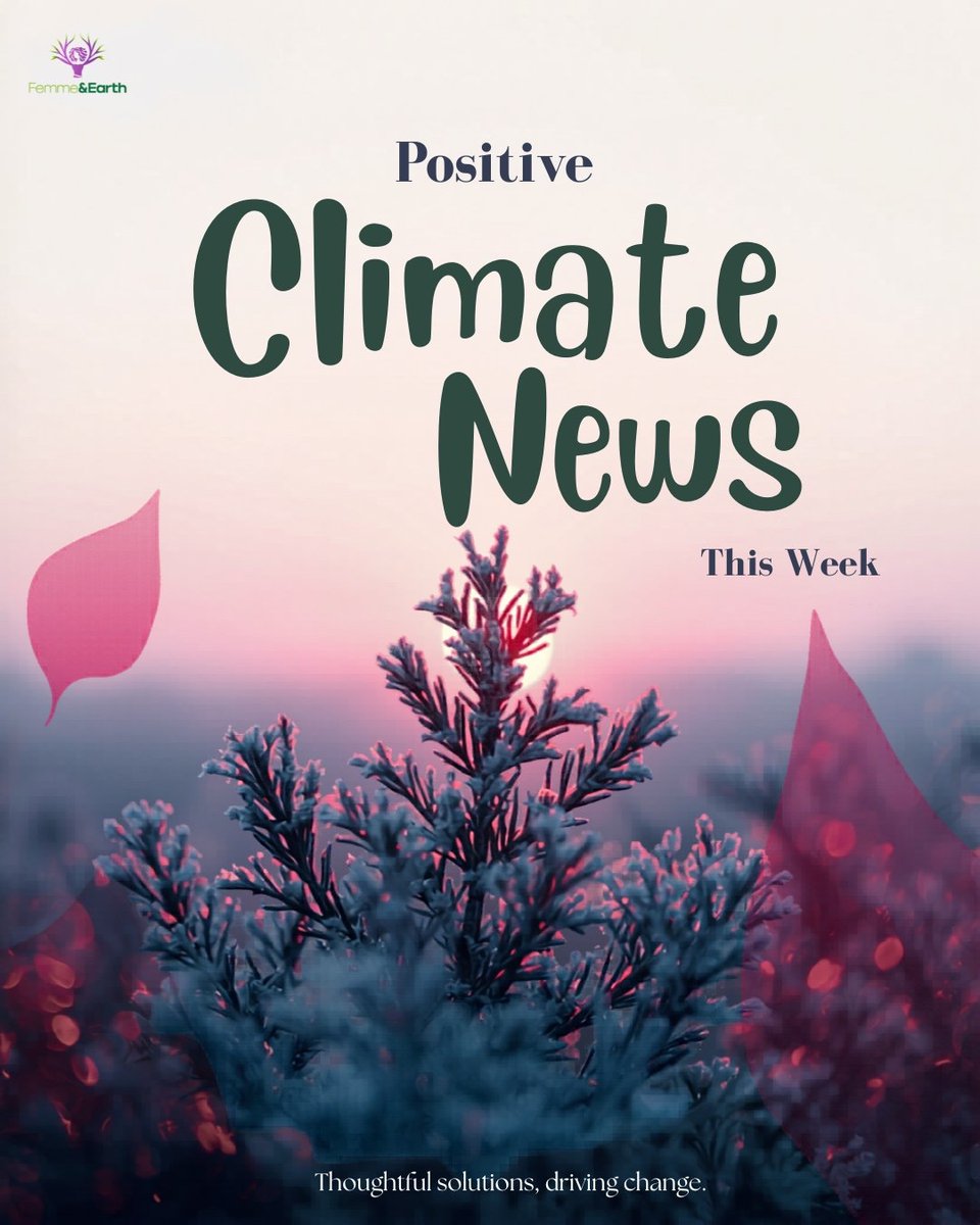 Femme2Earth's tweet photo. Good news exists — you just have to look for it. 🌍
✅ Air → drinking water
✅ Macaws back in Rio after 200 years
✅ Ocean plastic → roads
Nature + human creativity = unstoppable. 🌱
#ClimatePositive #GoodNews https://t.co/Hhrv7ge8E6