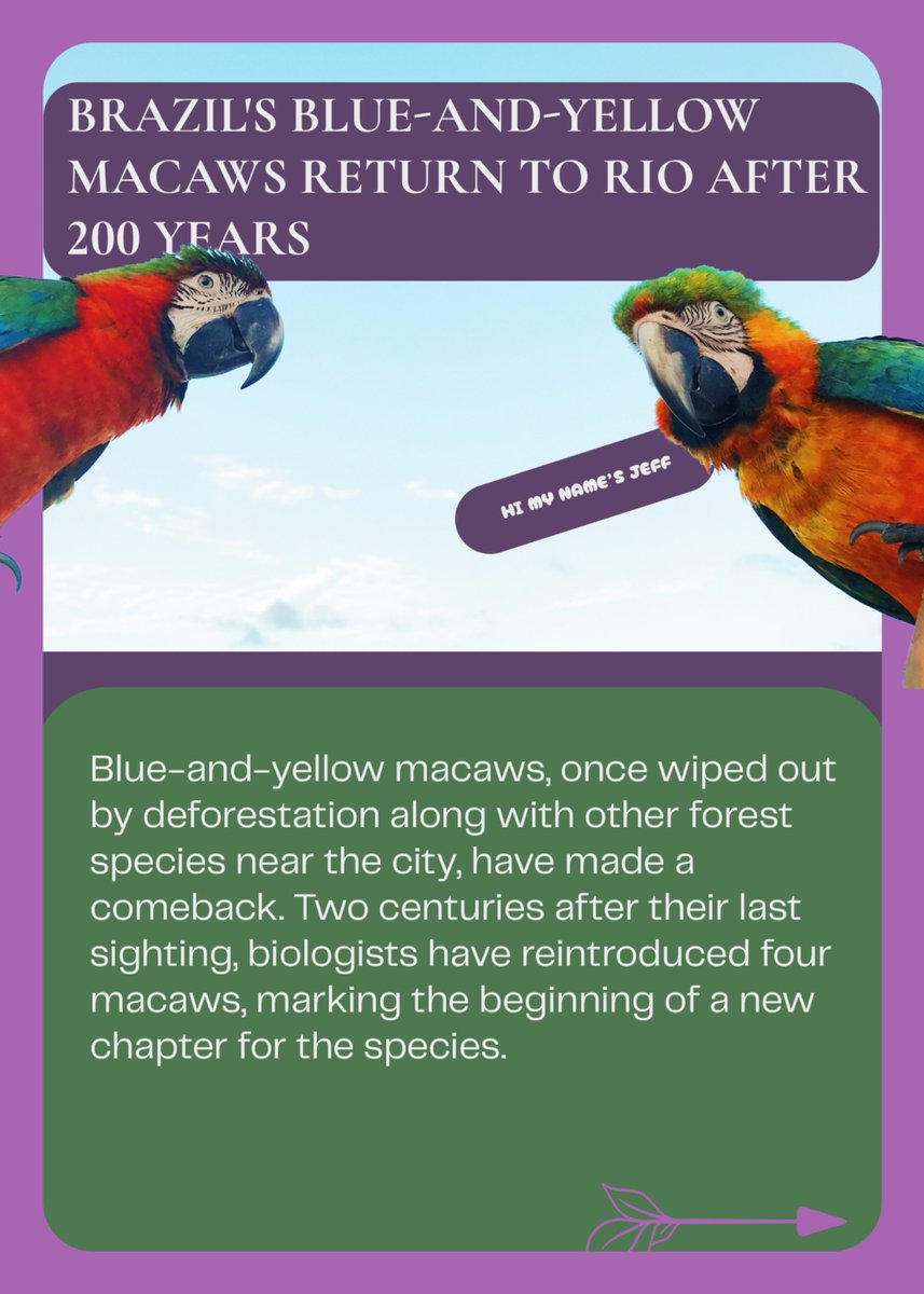 Femme2Earth's tweet photo. Good news exists — you just have to look for it. 🌍
✅ Air → drinking water
✅ Macaws back in Rio after 200 years
✅ Ocean plastic → roads
Nature + human creativity = unstoppable. 🌱
#ClimatePositive #GoodNews https://t.co/Hhrv7ge8E6