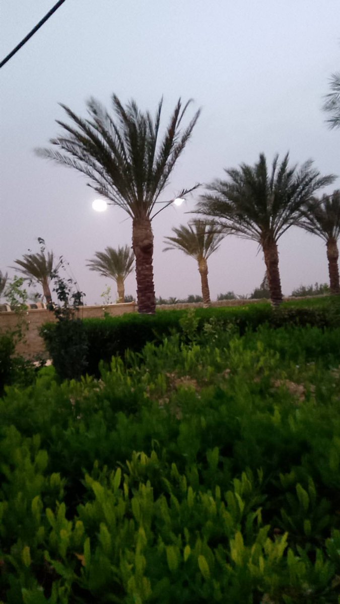 minochere's tweet photo. #الجزائر هذه #ورقلة  المهندس  محمد بن السايح مثال للجدية والعطاء  ،استقبل البارحة ضيفي الجمعية الشيخ الهادي الحسني والدكتور مالك بوعمرة أبو رافع البليدي في مزرعته أين حوّل الصحراء إلى عشرات الهكتارات قمحاً صلباً وليّناً  
وبنى في مدخل مزرعته  مسجداً وهو تحفة معمارية خارقة https://t.co/ILbv4A3Kpt