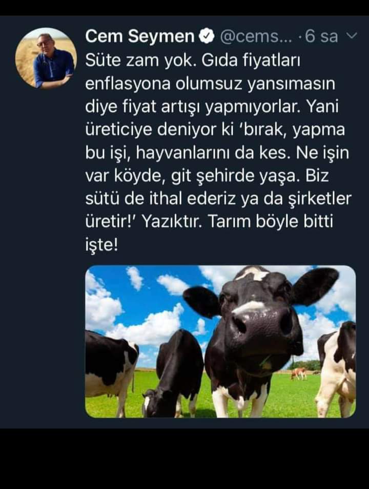Fikr@ tweet media