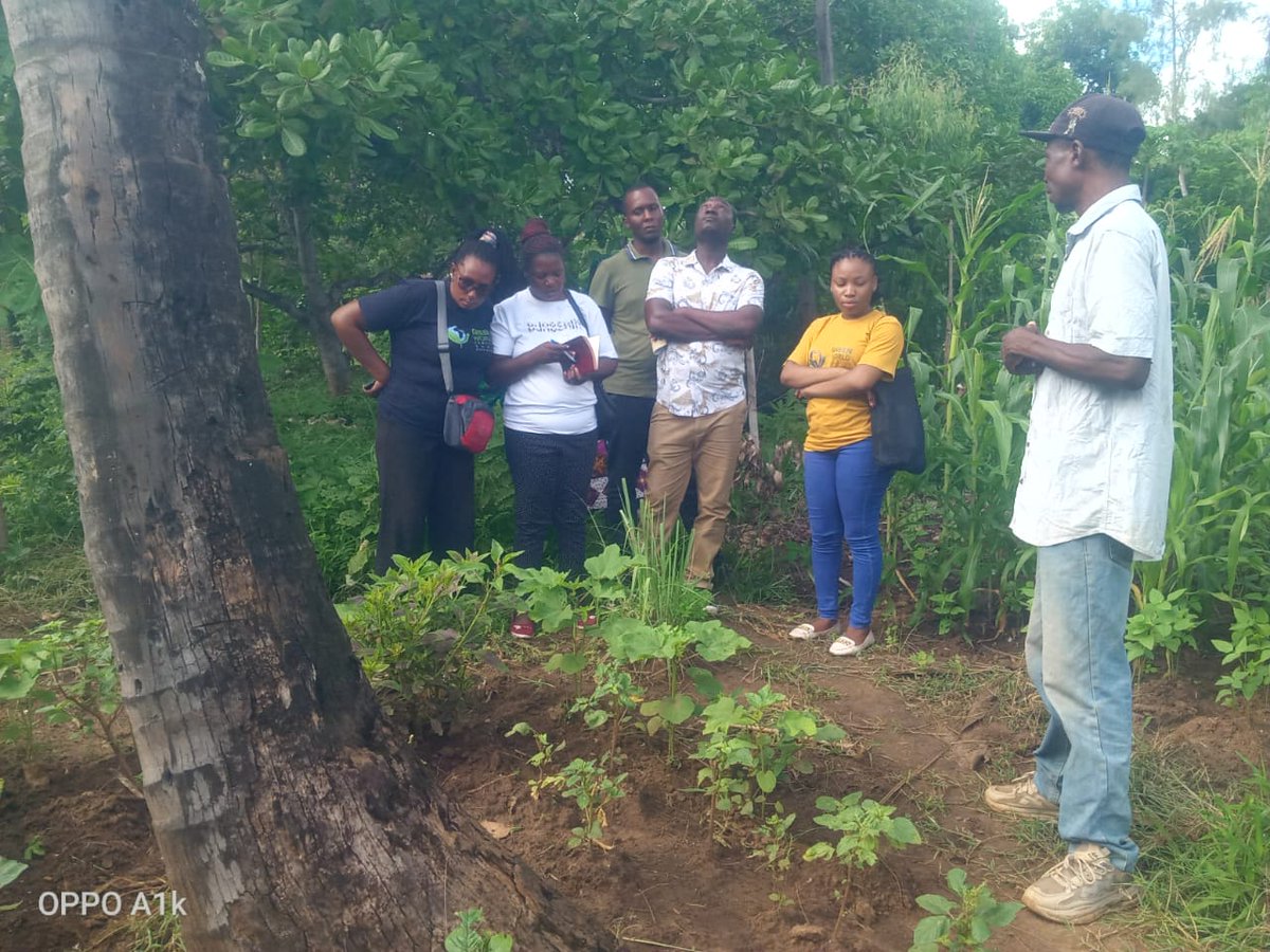 Green World Campaign Kenya tweet media
