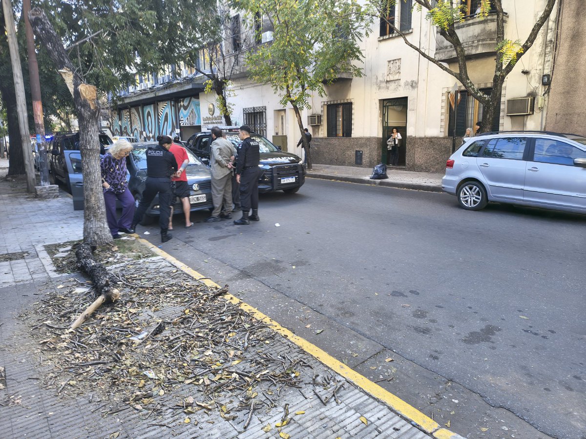 CalleDRosario tweet media