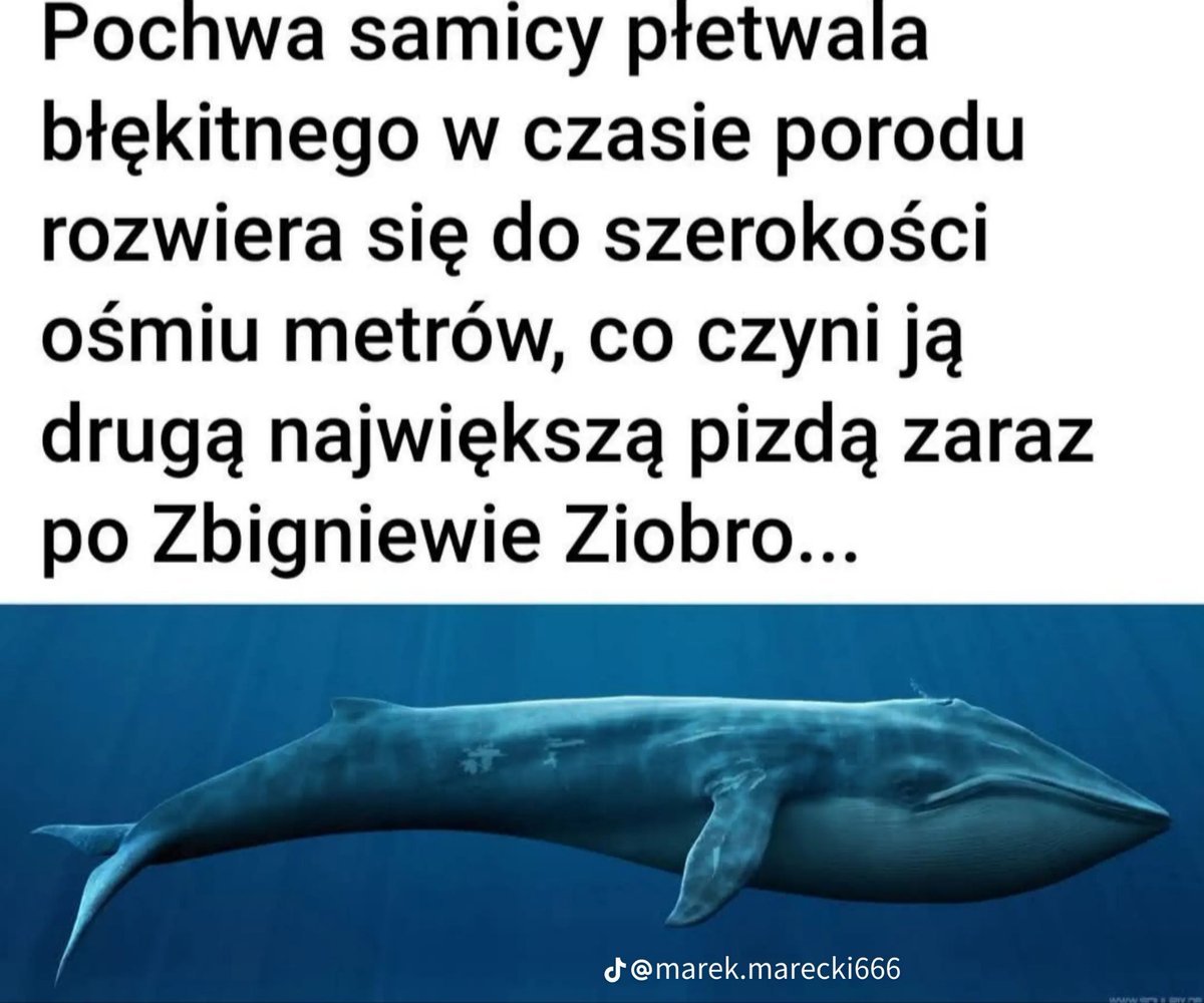 PrzemyslawSwid2's tweet photo. https://t.co/ATaVQiHU4K