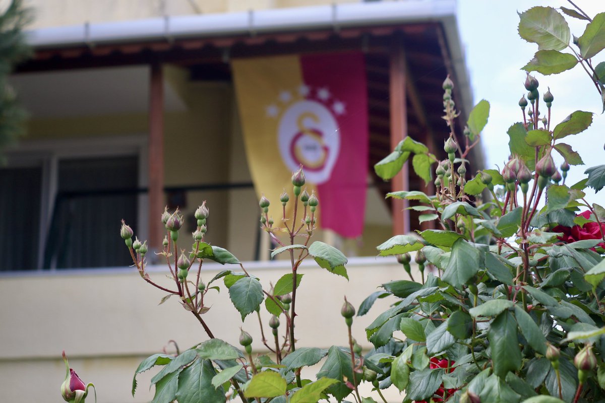 atistan64's tweet photo. Dalgalan ey şanlı Galatasaray!
#Hedef27 #mayıslarbizimdir #hoşgeldinBahar https://t.co/uEOBrr0bzN