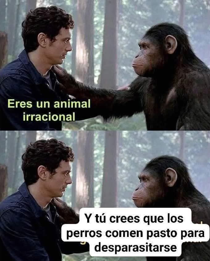 Memes Universidad Nacional tweet media