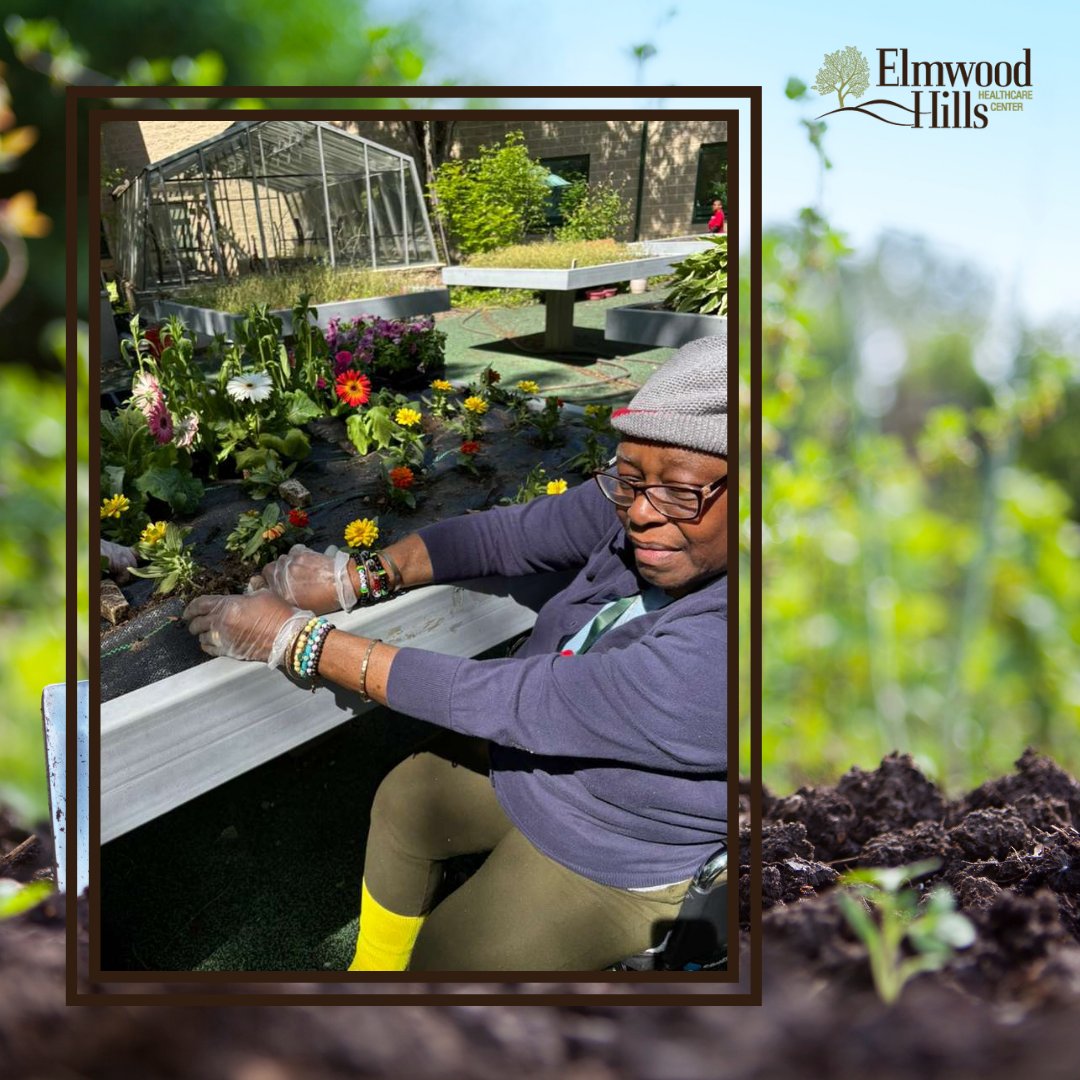 ElmwoodHills's tweet photo. Spring planting has begun in our courtyard with our residents! 🌸🌿 A wonderful time filled with fresh flowers, sunshine, and beautiful moments together.

#SpringPlanting #CourtyardGarden #ResidentLife #GardeningTogether #SeniorLiving #SpringTime #CommunityJoy #BloomingMoments https://t.co/O1pUCEBEzo